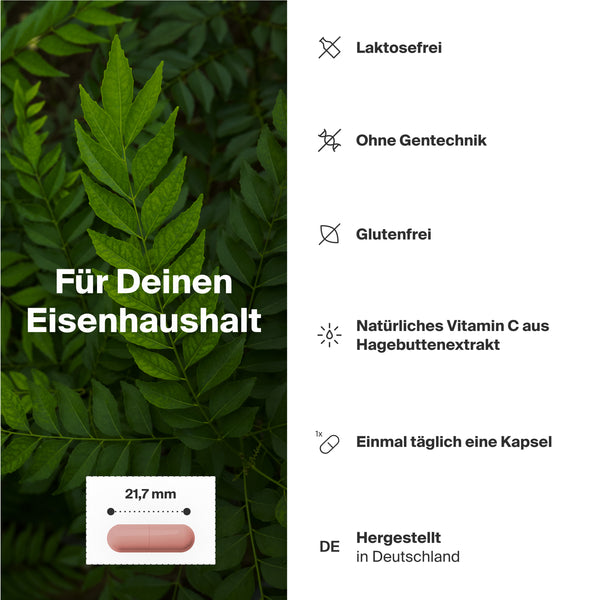 Natural Iron CLN® | Eisen Komplex